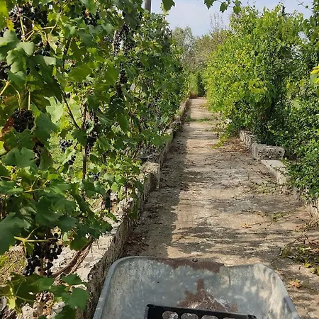 Messapica, Casa Veranda