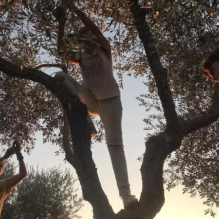 Messapica, Casa Veranda Lecce