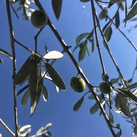 Messapica, Casa Veranda Villa Lecce