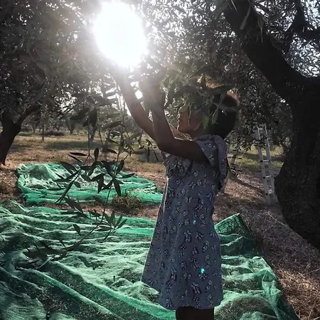 Messapica, Casa Veranda