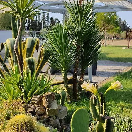 Messapica, Casa Veranda