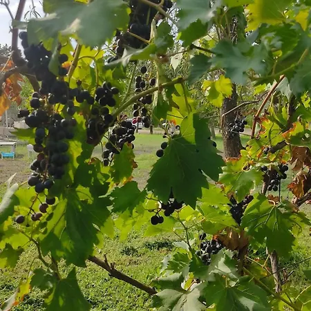 Villa Messapica, Casa Veranda *