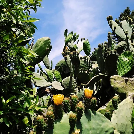 Villa Messapica, Casa Veranda