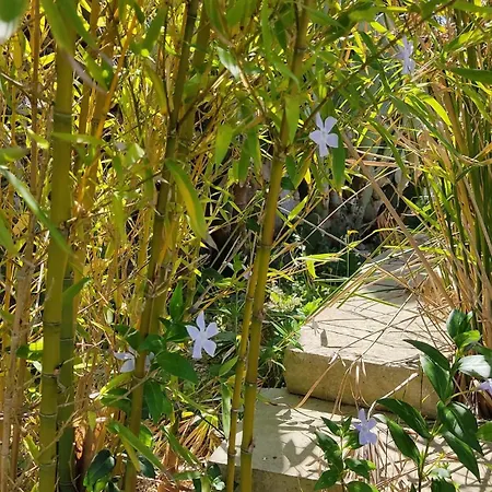 Villa Messapica, Casa Veranda Lecce