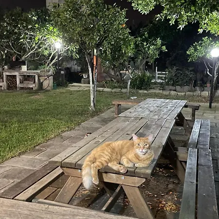 Messapica, Casa Veranda