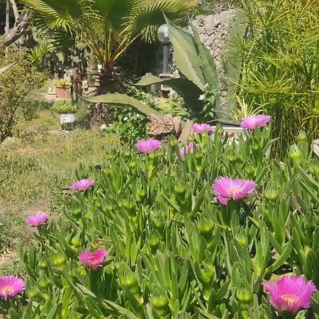 Messapica, Casa Veranda * Lecce