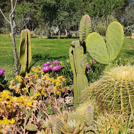 Messapica, Casa Veranda * Lecce