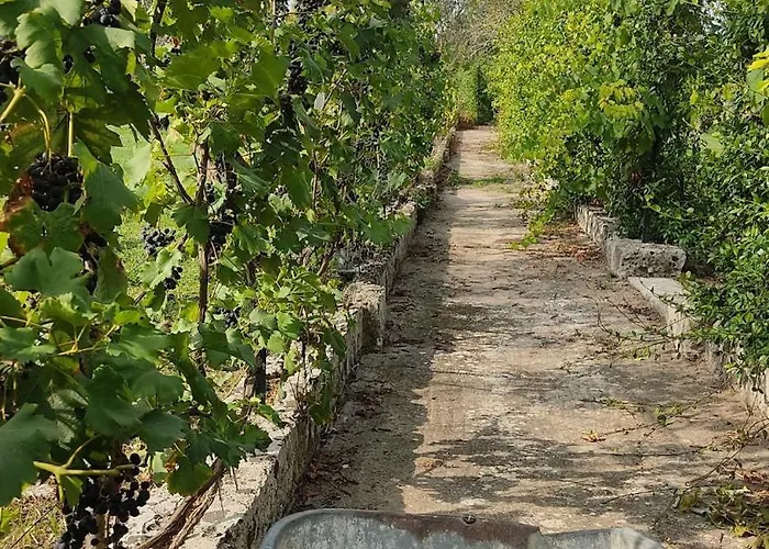 Messapica, Casa Veranda