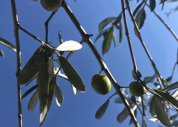 Messapica, Casa Veranda 别墅 莱切