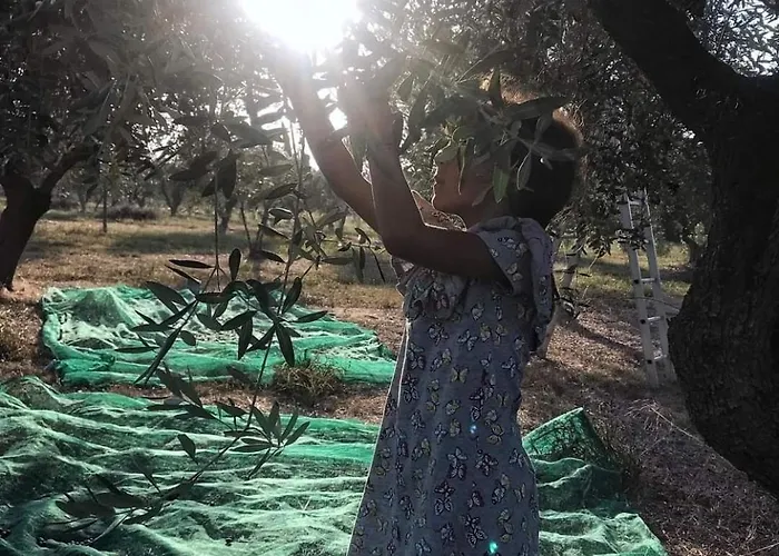 Messapica, Casa Veranda