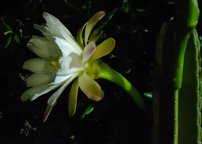 别墅 Messapica, Casa Veranda