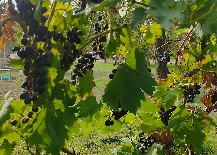 别墅 Messapica, Casa Veranda *