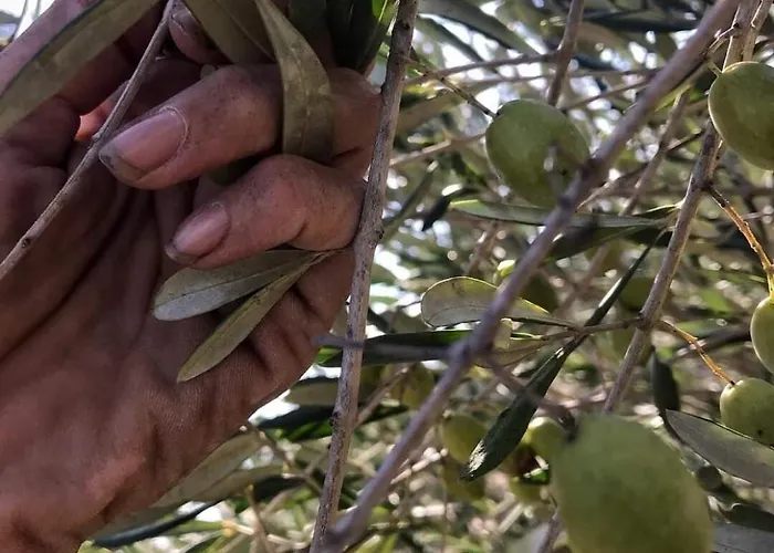 Messapica, Casa Veranda וילה