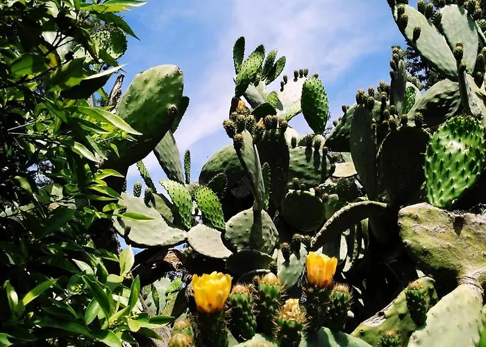 וילה Messapica, Casa Veranda