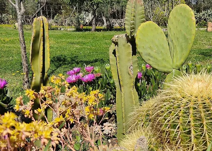 Messapica, Casa Veranda * לצ'ה